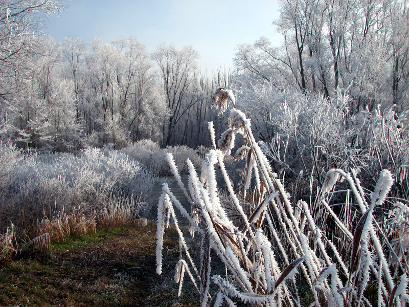 Il Delta in inverno